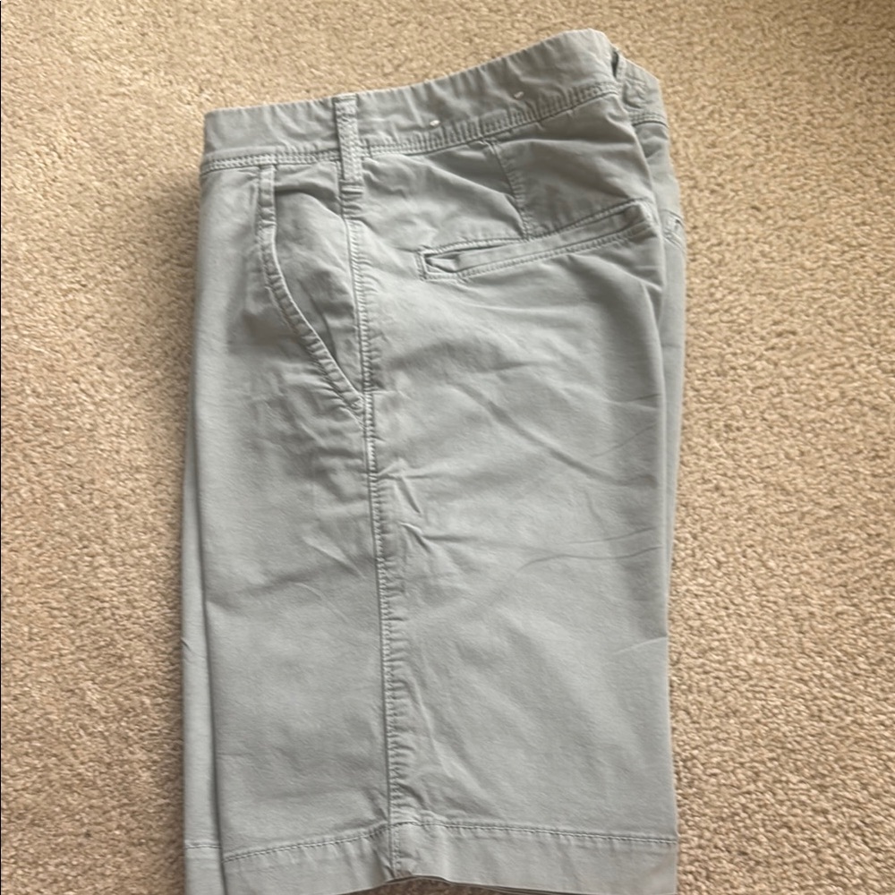 American Eagle Outfitters 31 Green Flat Front flex Shorts - Picture 5 of 6